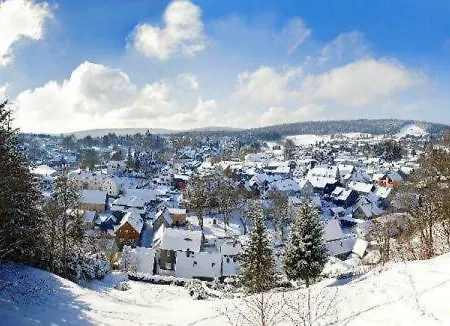 Daire Gemuetliche Im Thueringer Wald, Nahe Des Rennsteigs - Pure Erholung