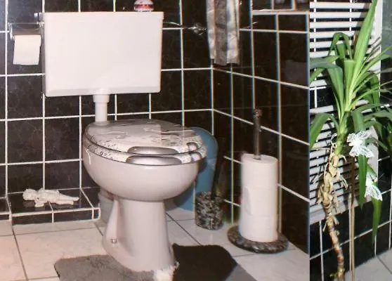 Daire Gemuetliche Im Thueringer Wald, Nahe Des Rennsteigs - Pure Erholung